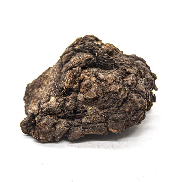 SEKOLOPHATE INGWEVU