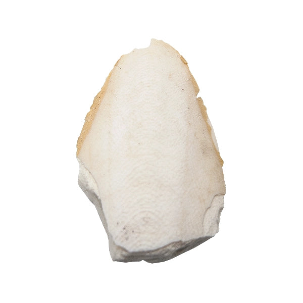 MASIMBA INYANGA 50g