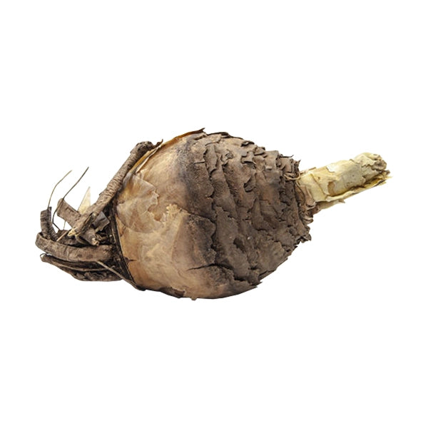INGUDUZA BLOUBERGLELIE BLOUSLANKOP 60g