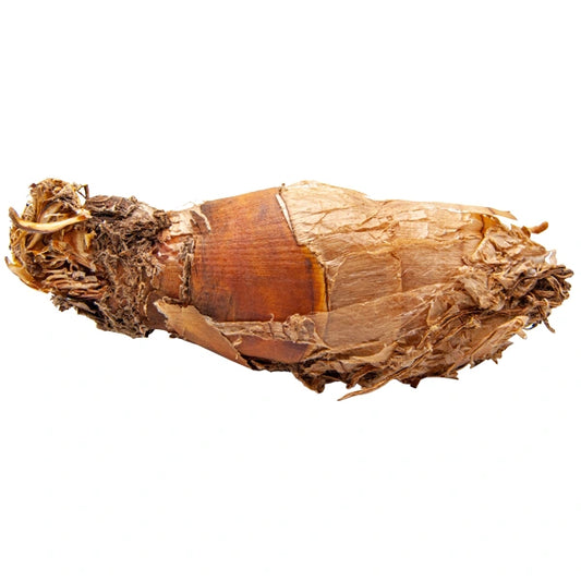 INGCOTO LEGWANE MSHWAME LARGE