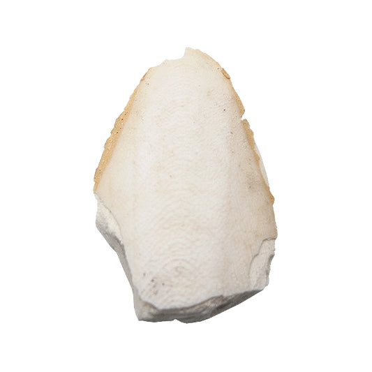 MASIMBA INYANGA  50g