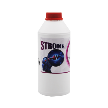 STROKE 1lt