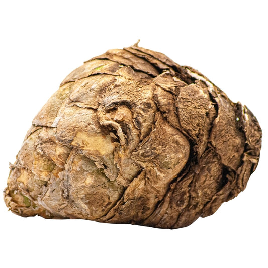 MHLABELO MAHLOKOLOZA  SMALL 80g