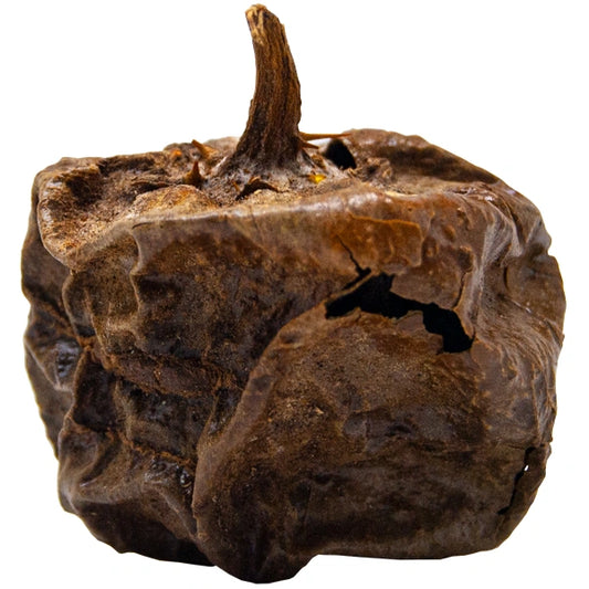 UMTHUMA  60G