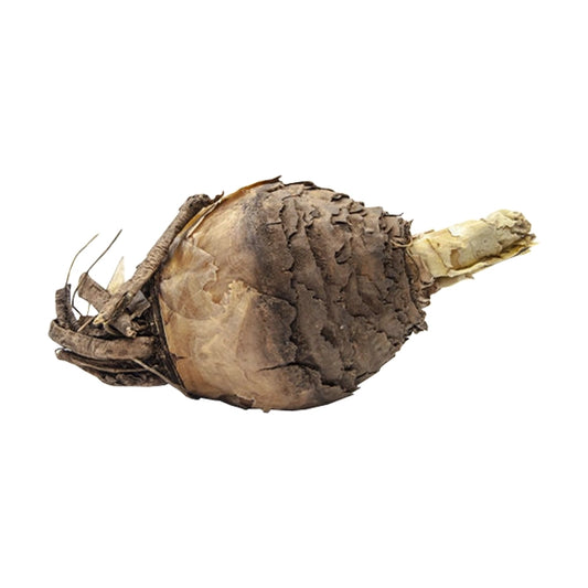 INGUDUZA BLOUBERGLELIE BLOUSLANKOP 60g
