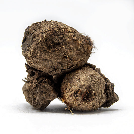 NTSULA NTSULA  80G