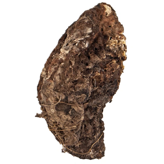 DAKWA  80G