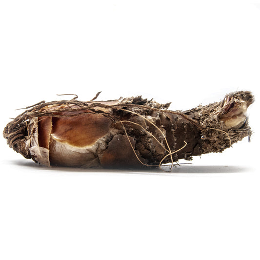INGCOTO LEGWANE 40g