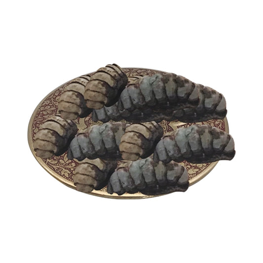 FINEZI SEA WORM