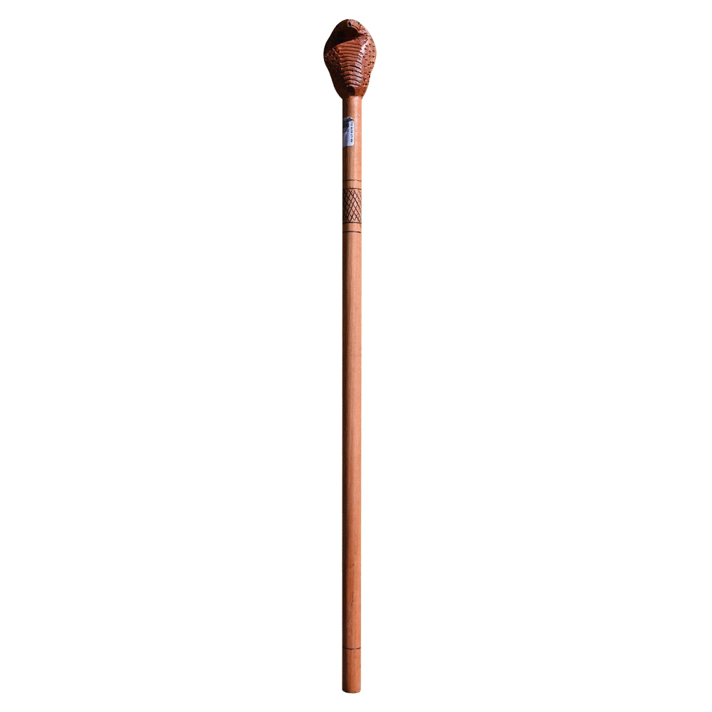 727 STICK WALKING WITH SNAKE HEAD